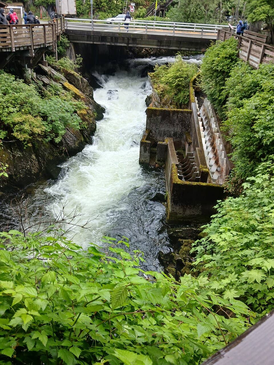 Vertical photo