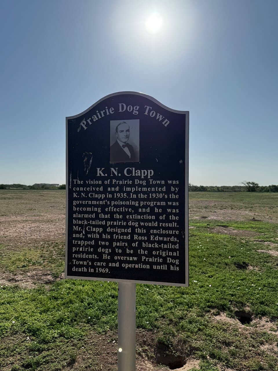 Wildlife Interactions