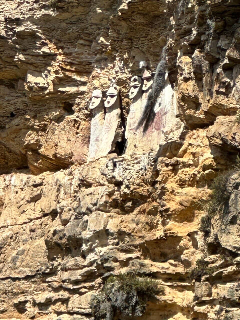 Scenic Farmland Trek
