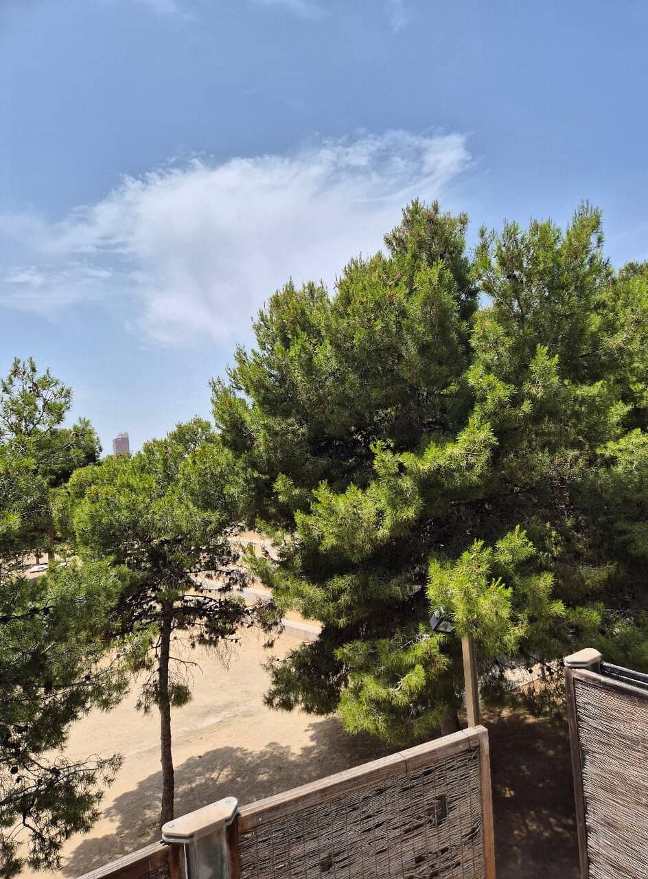 Terraced Gardens