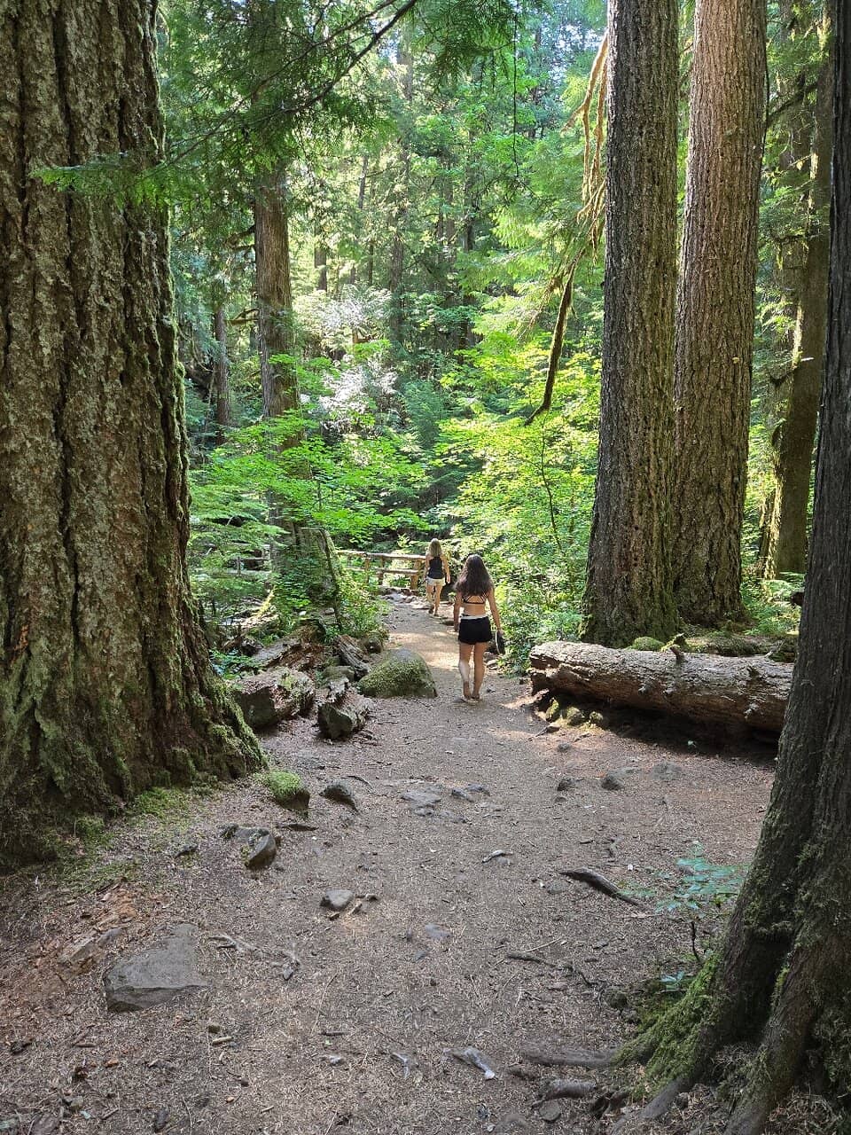 McKenzie River Trail