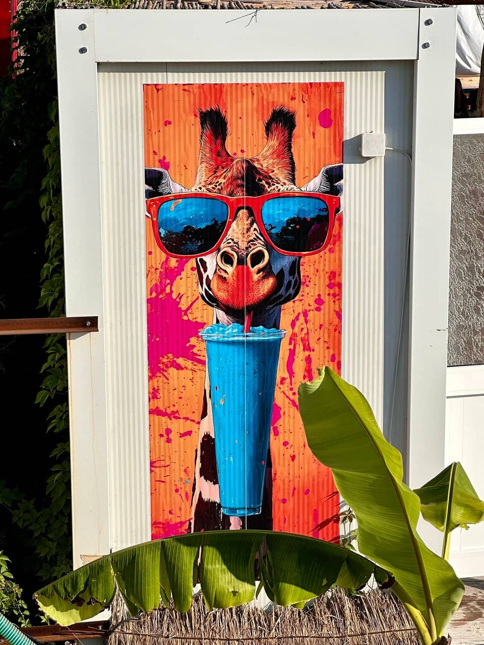 Refreshing Cold Stream