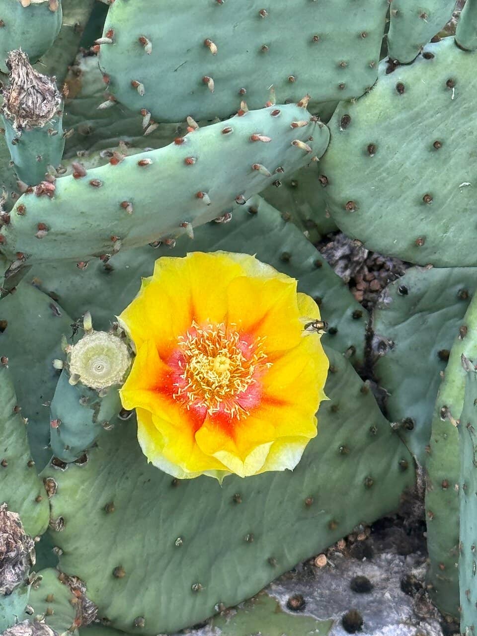 Depression-Era Inspiration