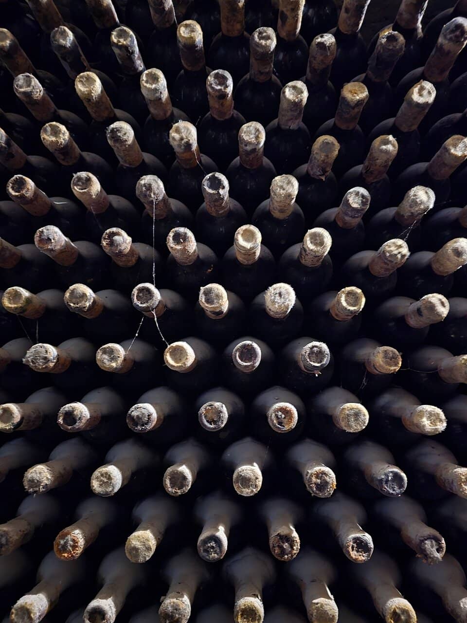 Historic Wine Collection