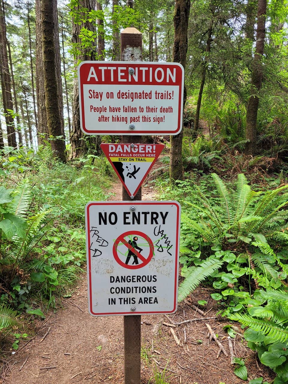 Coast Trail Descent