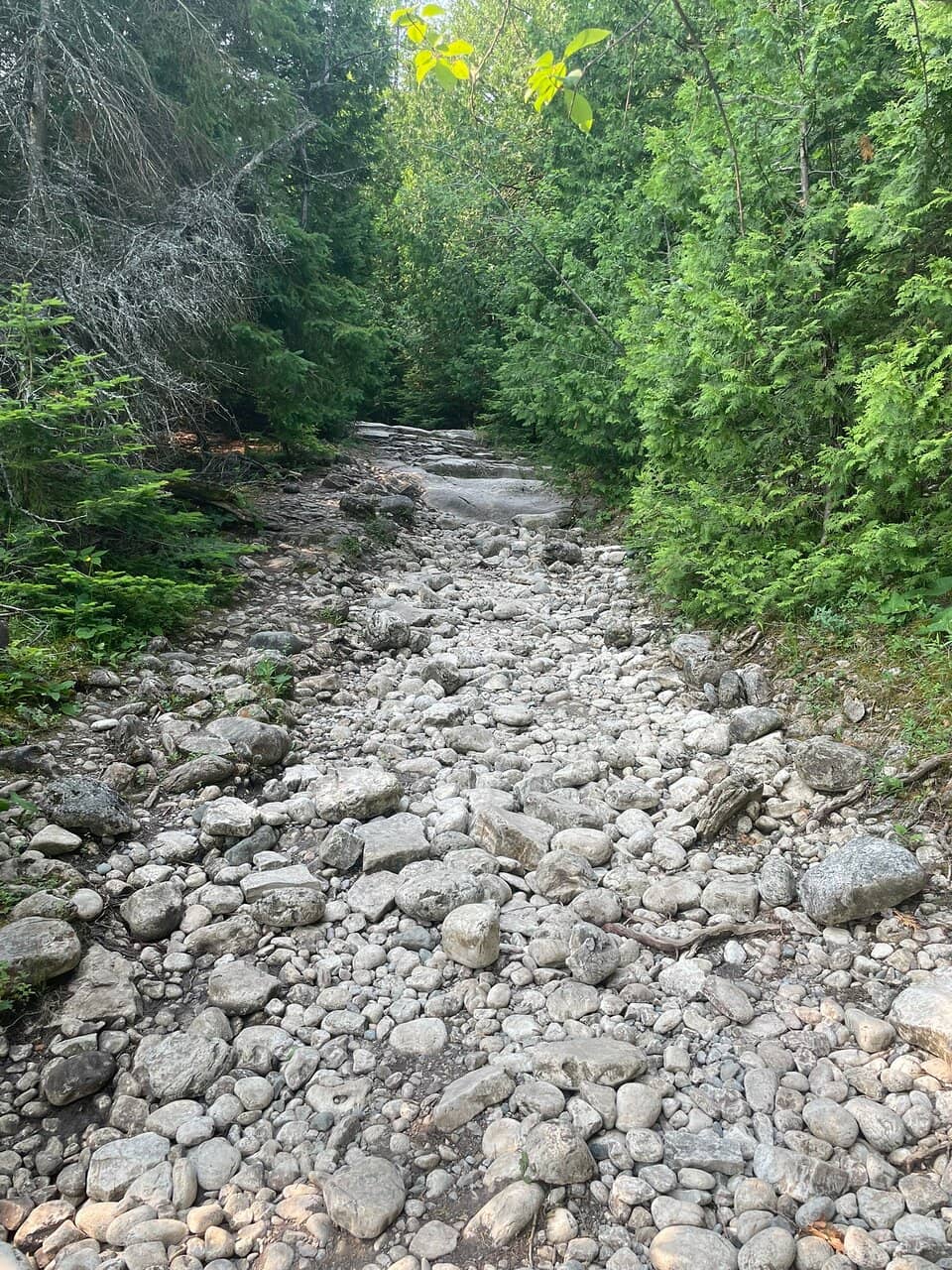 Rugged Rocky Shoreline