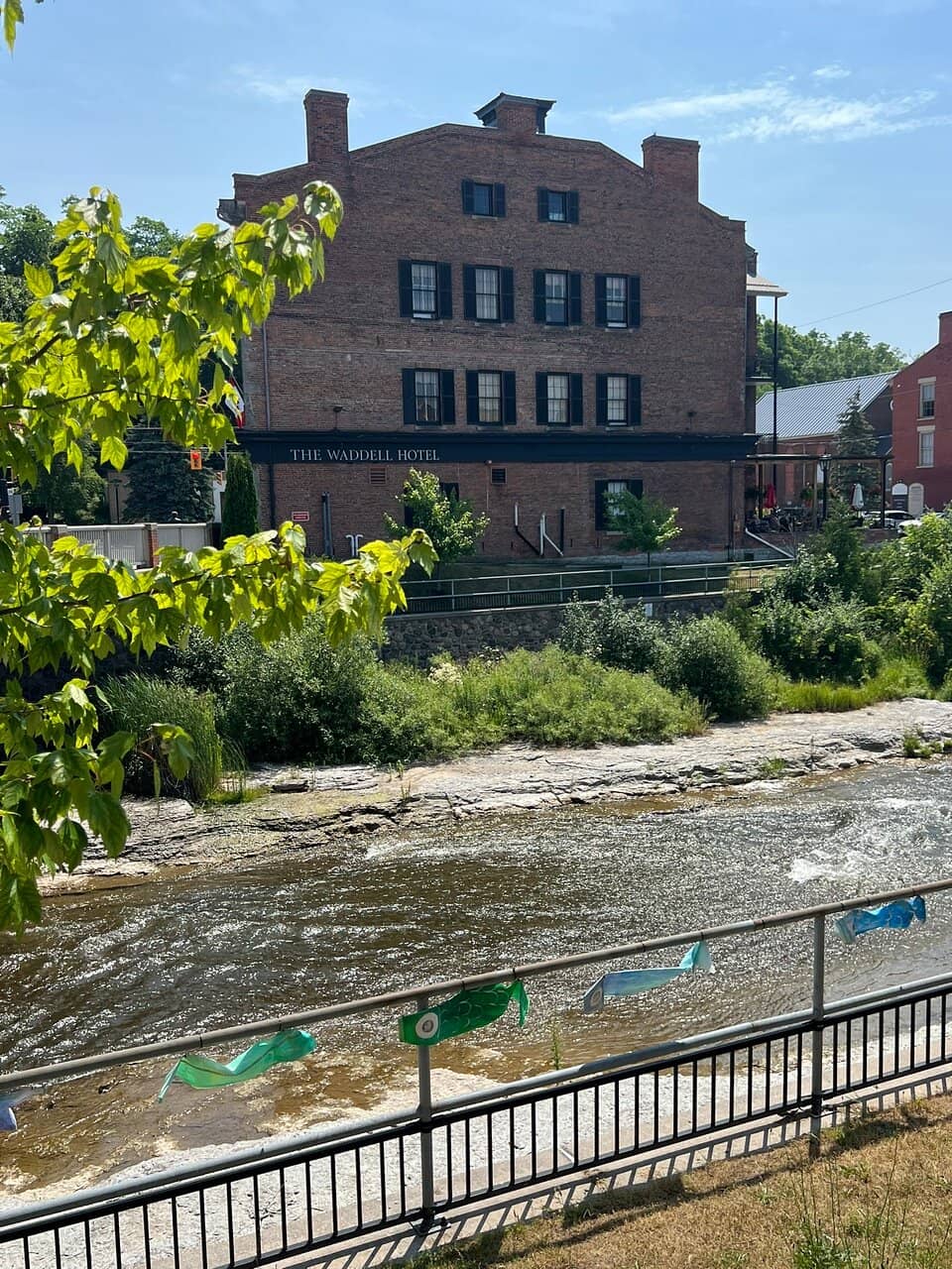 Superior Vegan Options