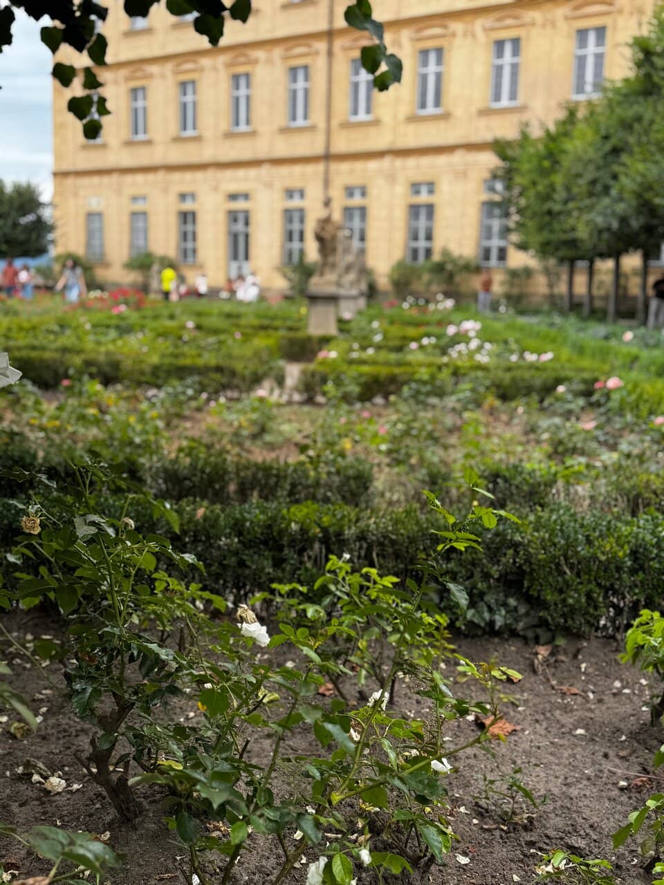 Panoramic Bamberg Views