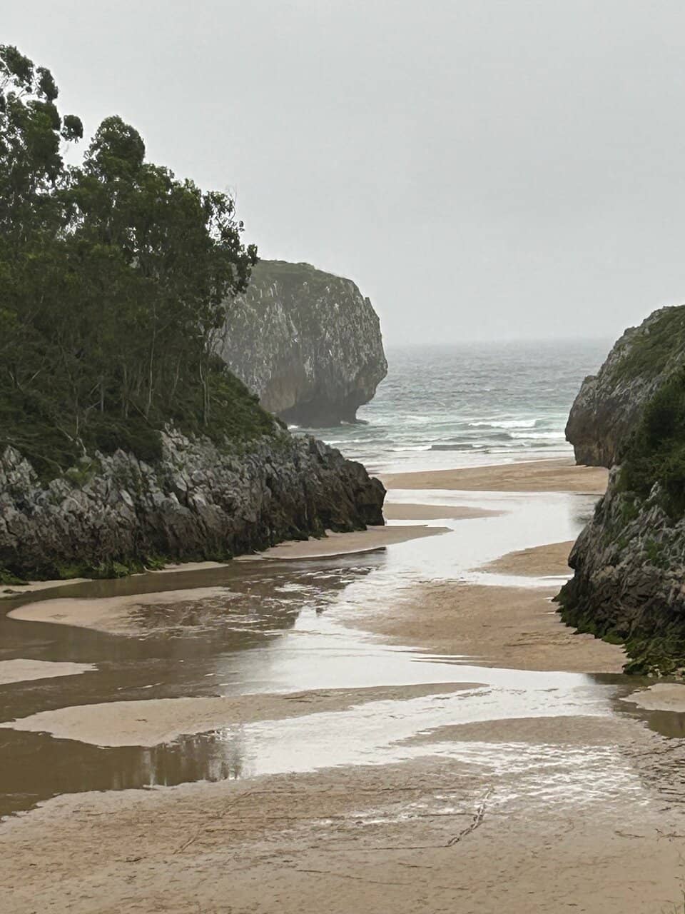 Tidal Riverbed Reveal