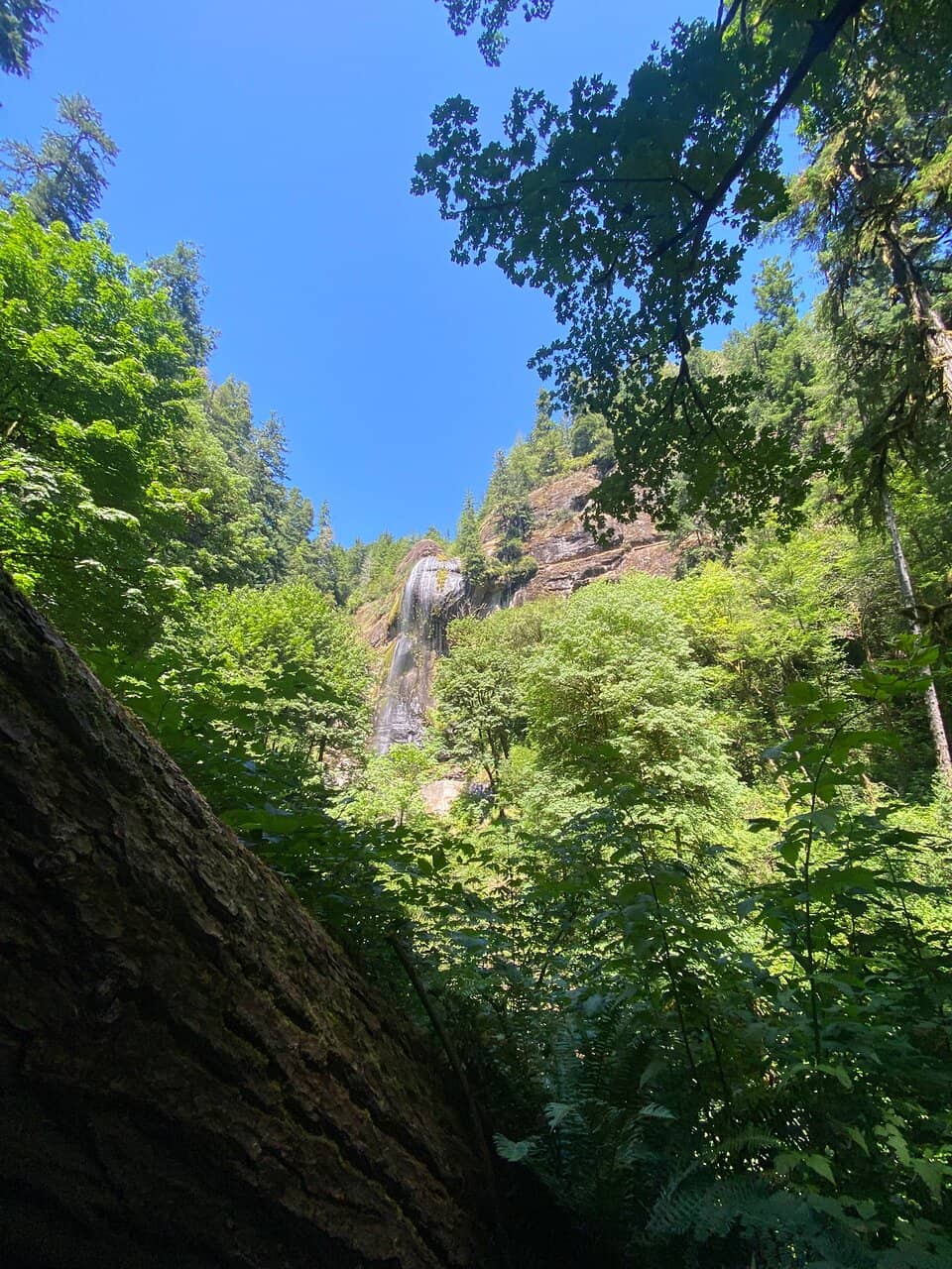 Golden Falls