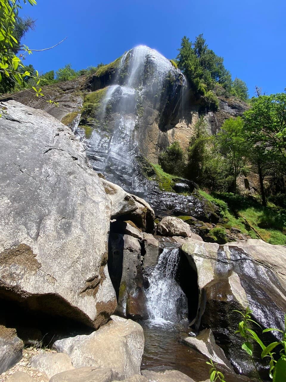 Vertical photo