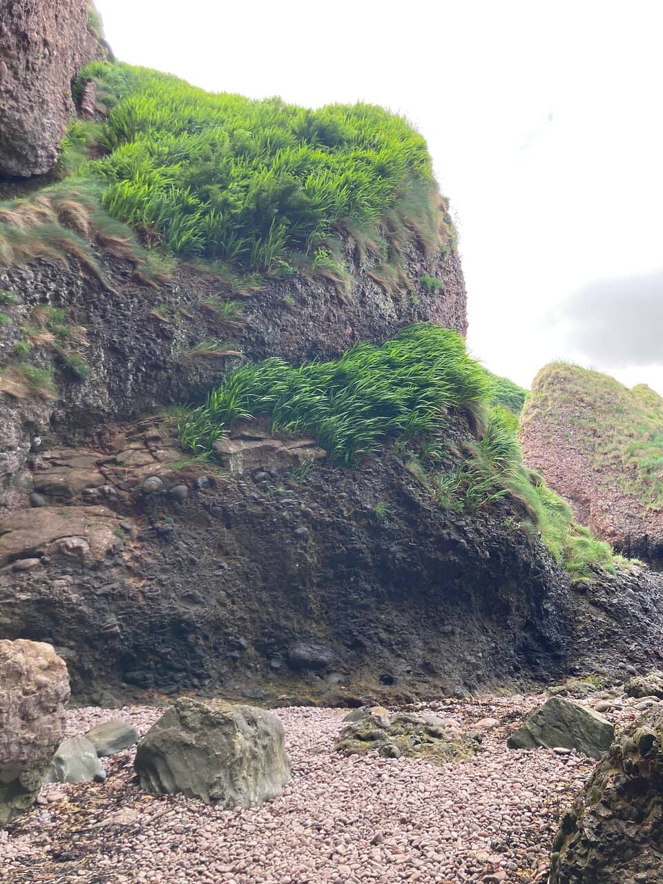 Pebble Beach