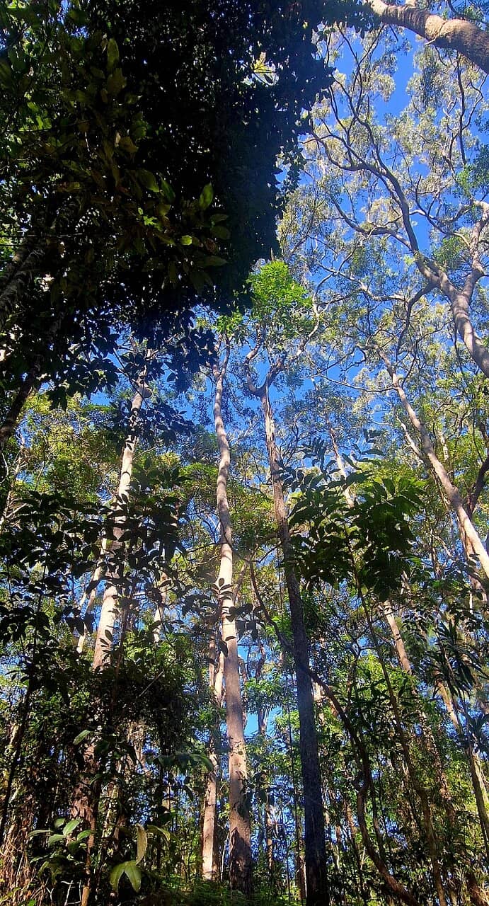 Picnic and BBQ Areas
