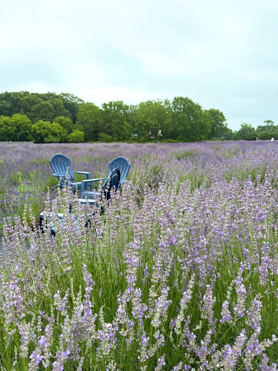 Photographer's Paradise