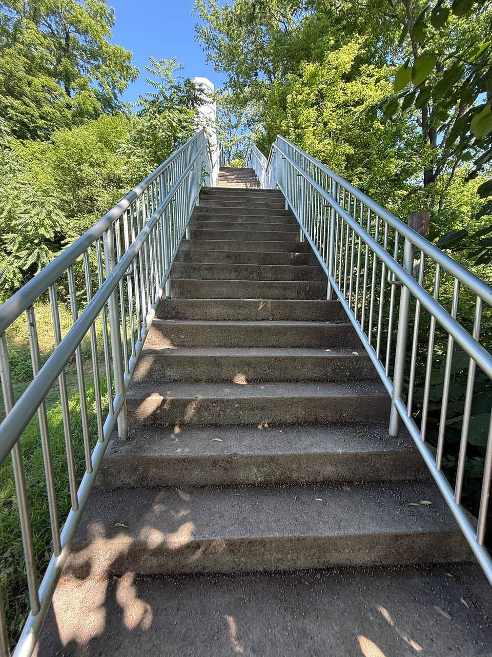 Vertical photo