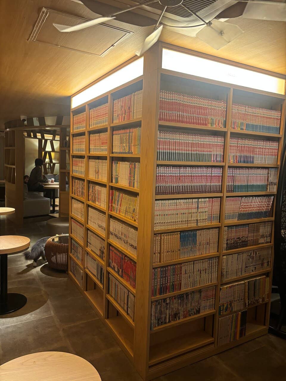 Cat Treat Temptations