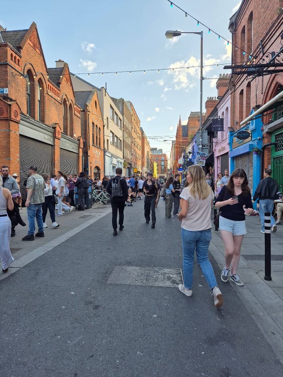 Natural Wine Selection