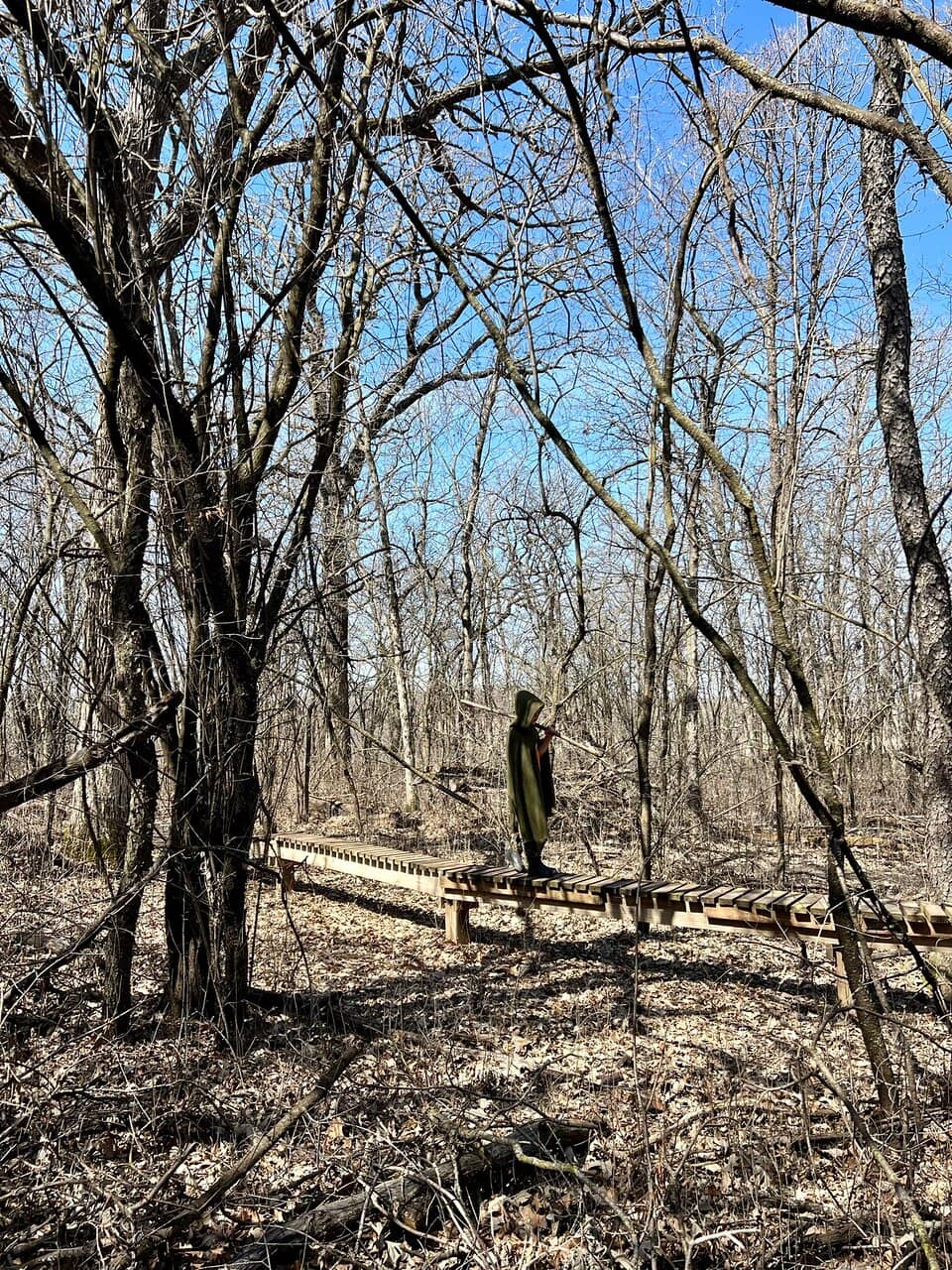 Vertical photo