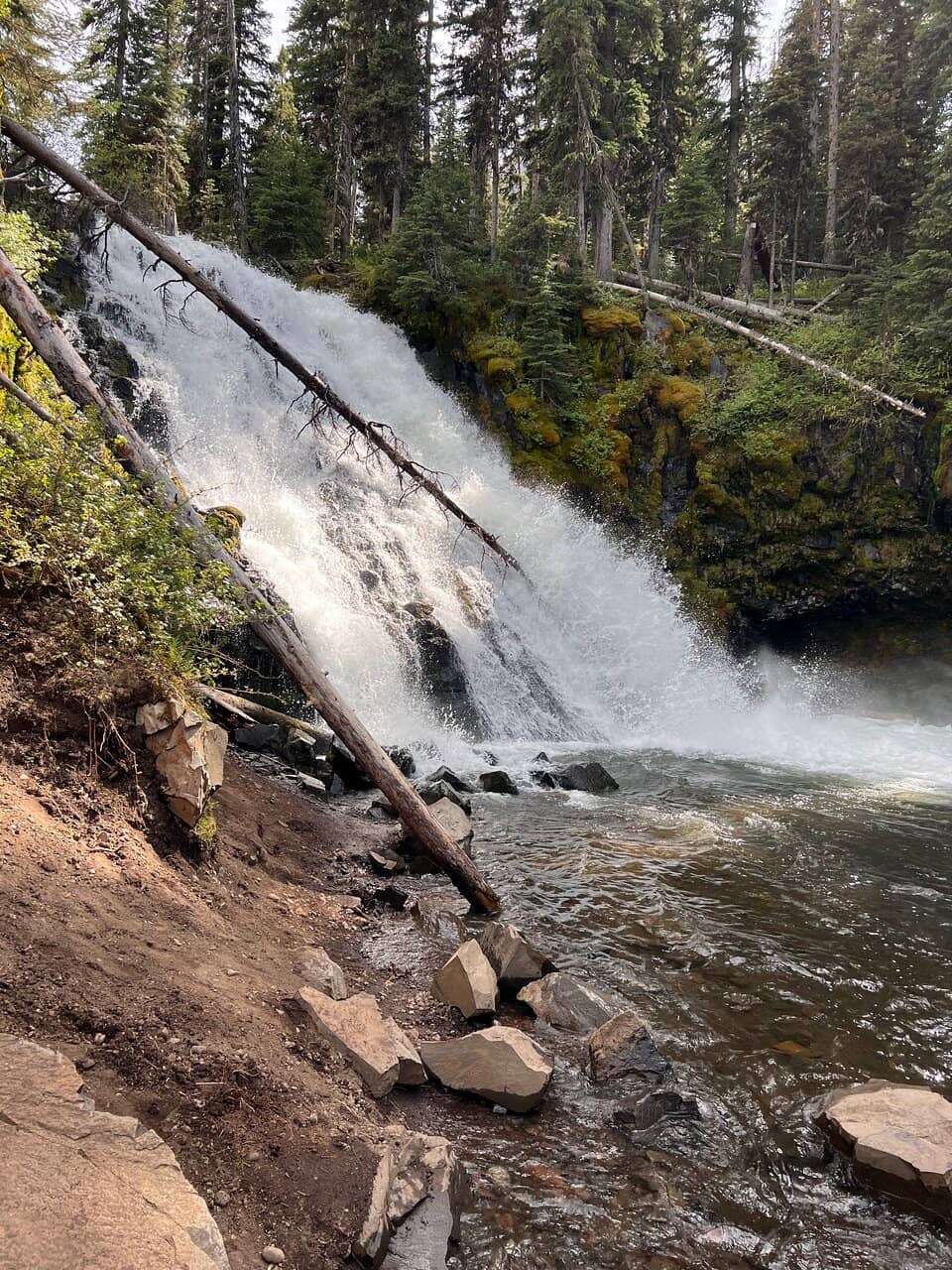 Trillium Gap Trail