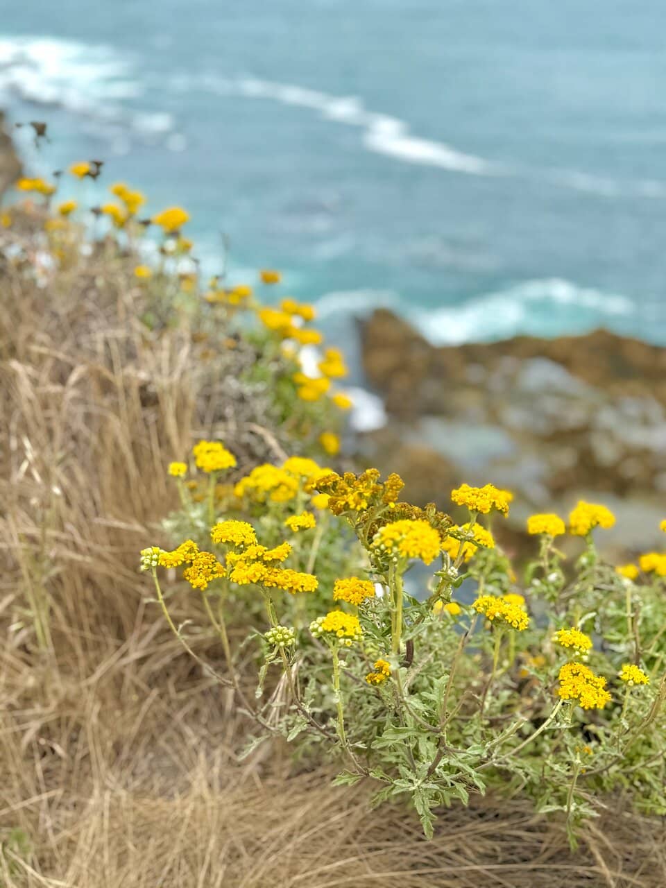 Secluded Beach Access