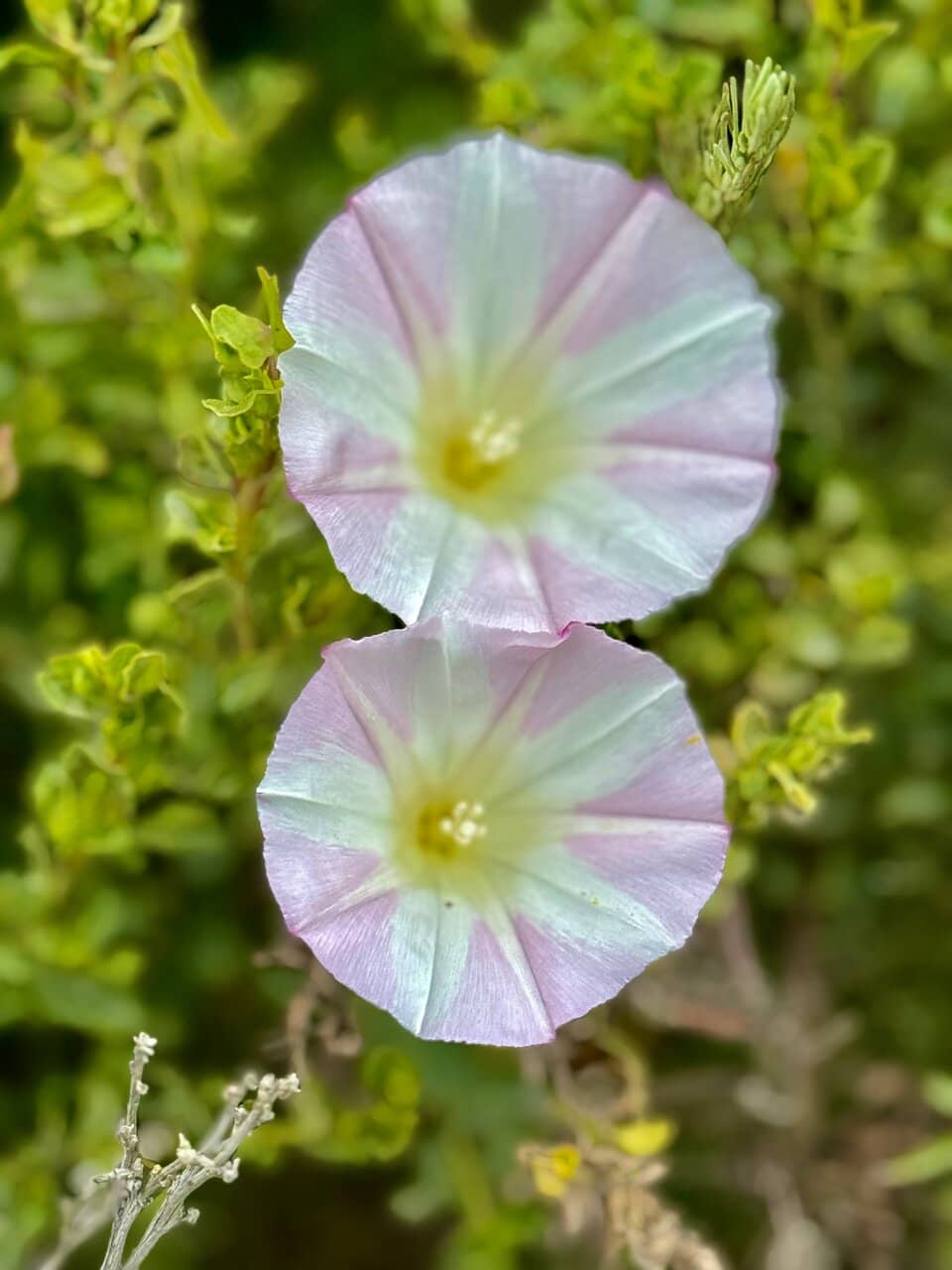Vertical photo