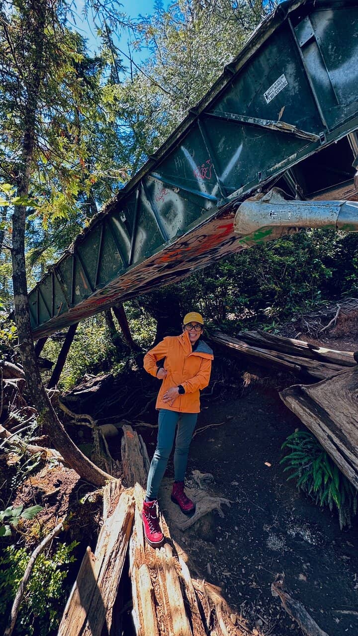 Rainforest Boardwalks