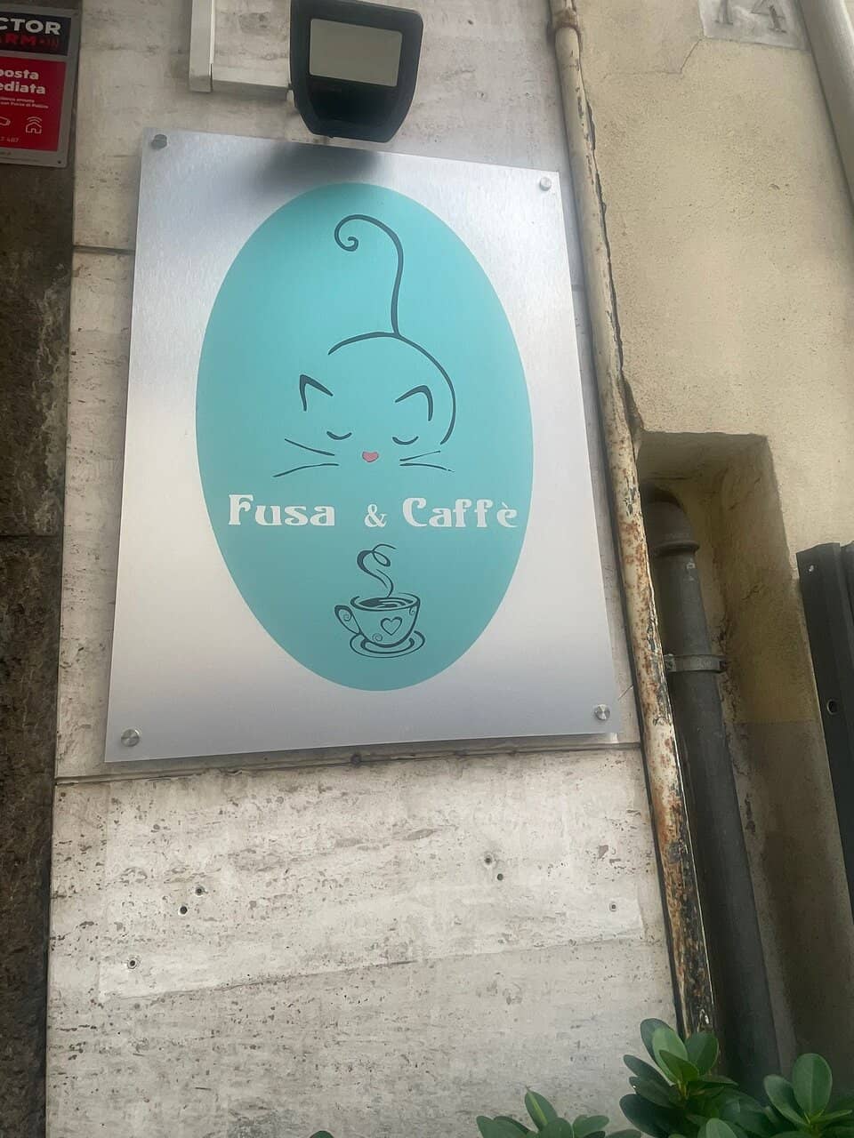 Lively Aperitivo Scene