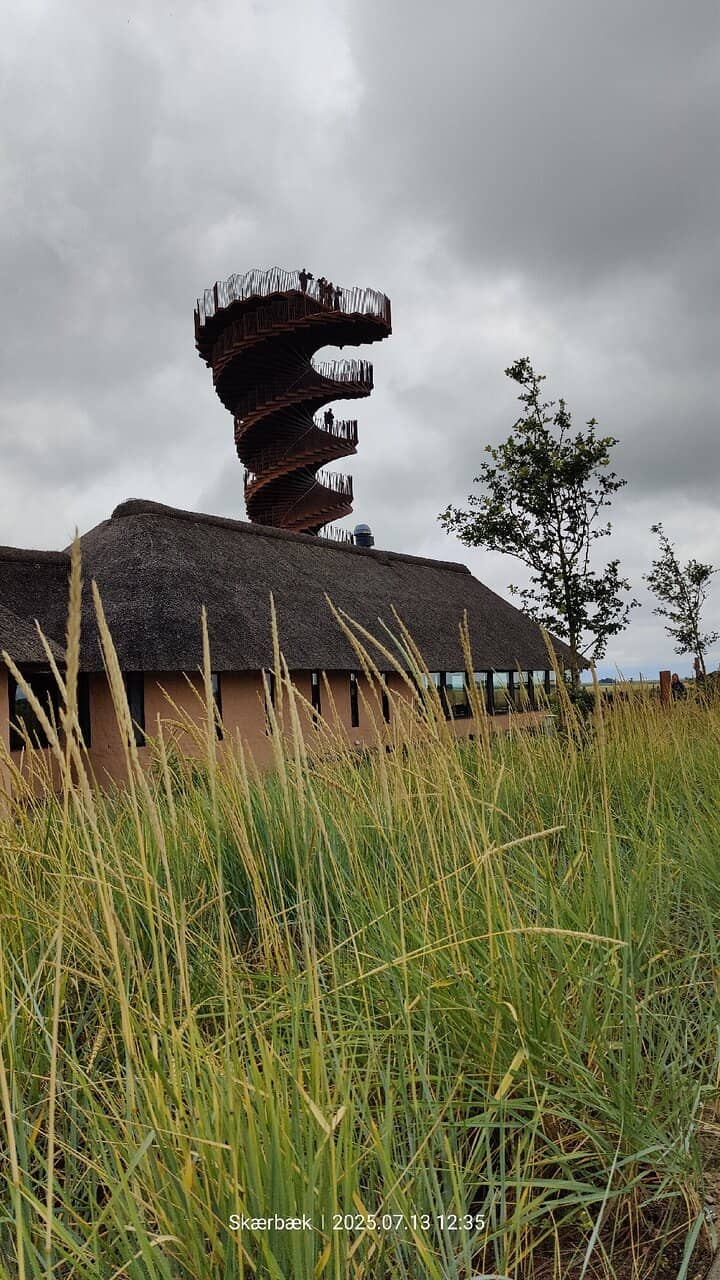 Panoramic Field Views