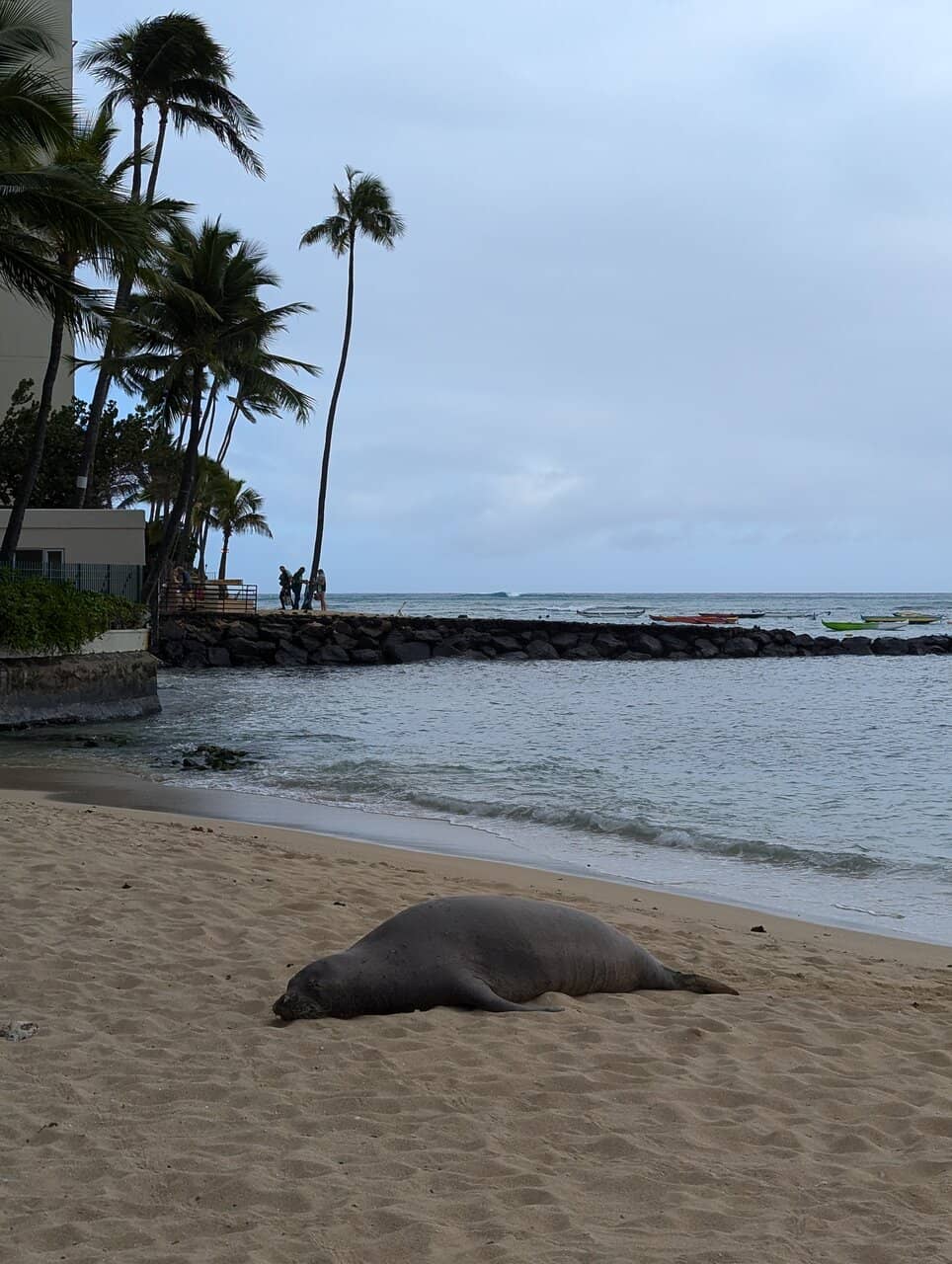 Kaimana Reef