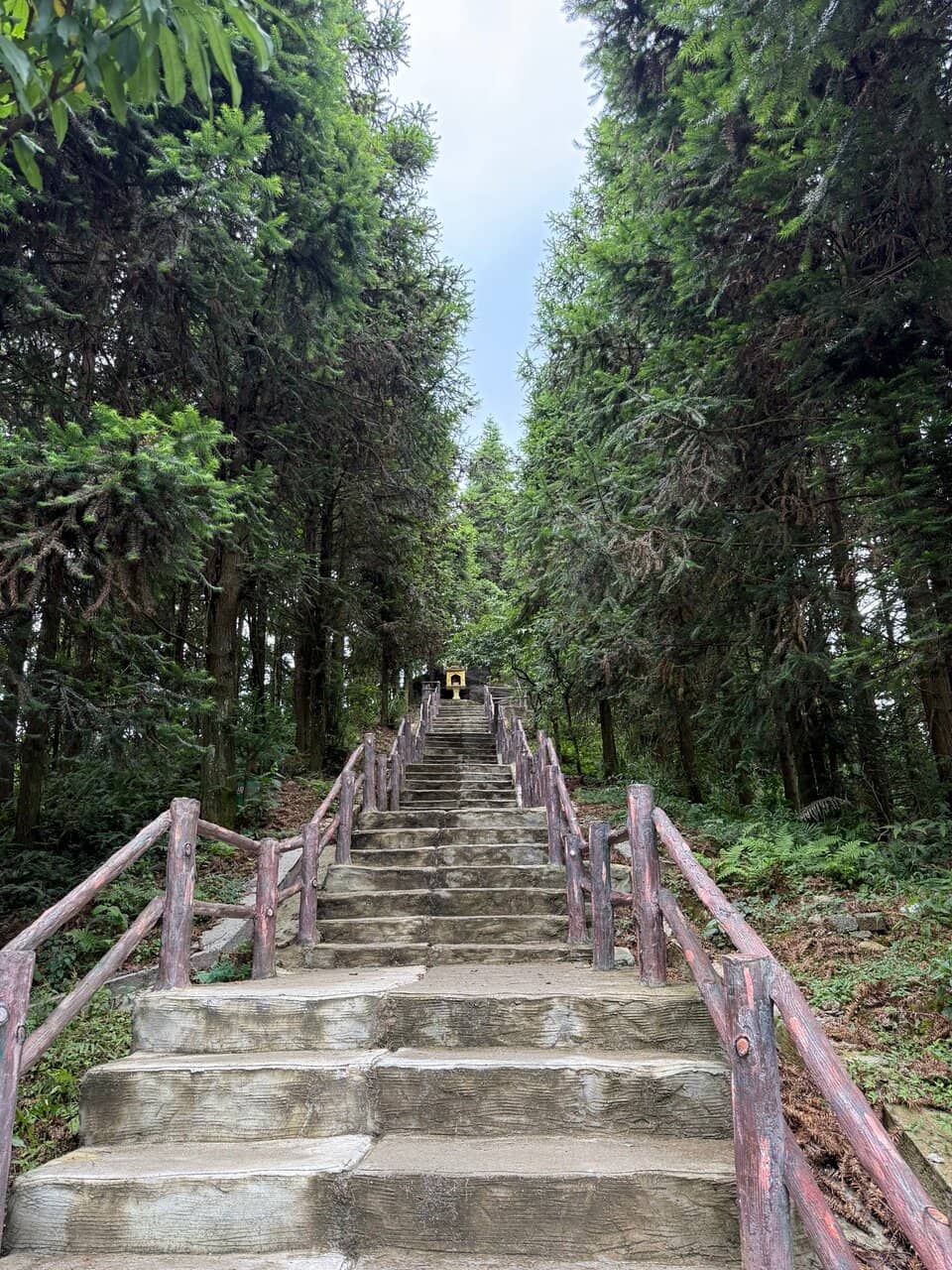 Panoramic Valley Vistas