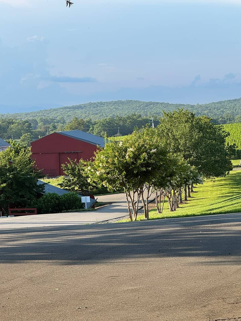 Award-Winning Wines