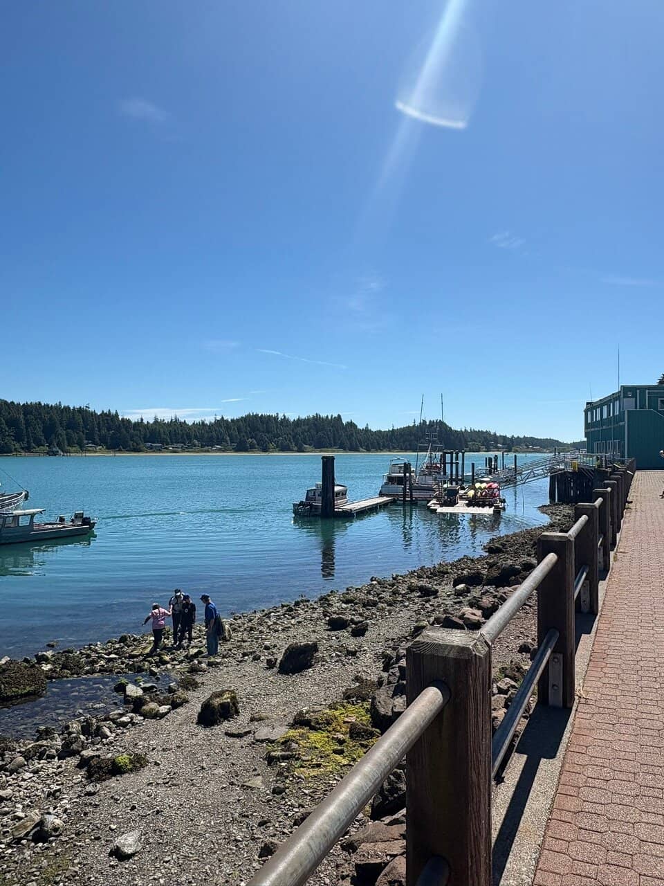Giant Pacific Octopus