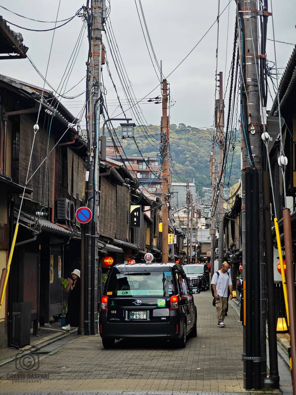 Geiko and Maiko Sightings