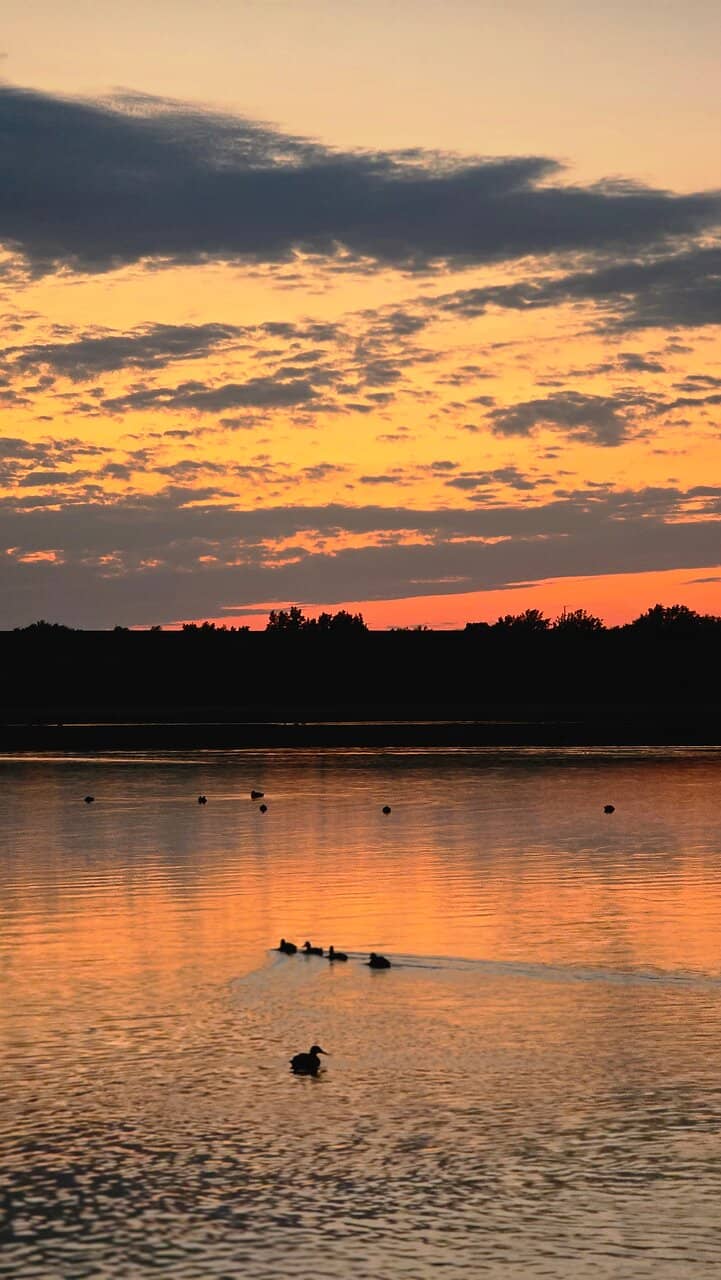 Tranquil Lakeside Views