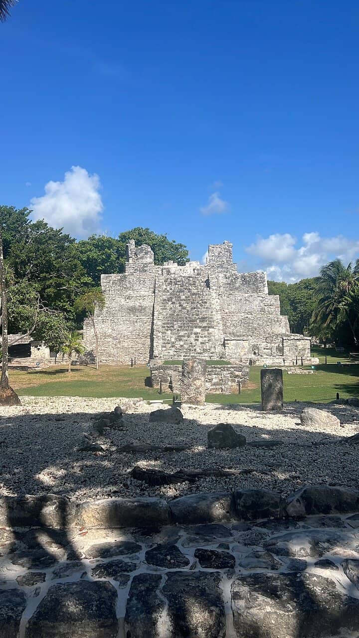 Iguana Encounters