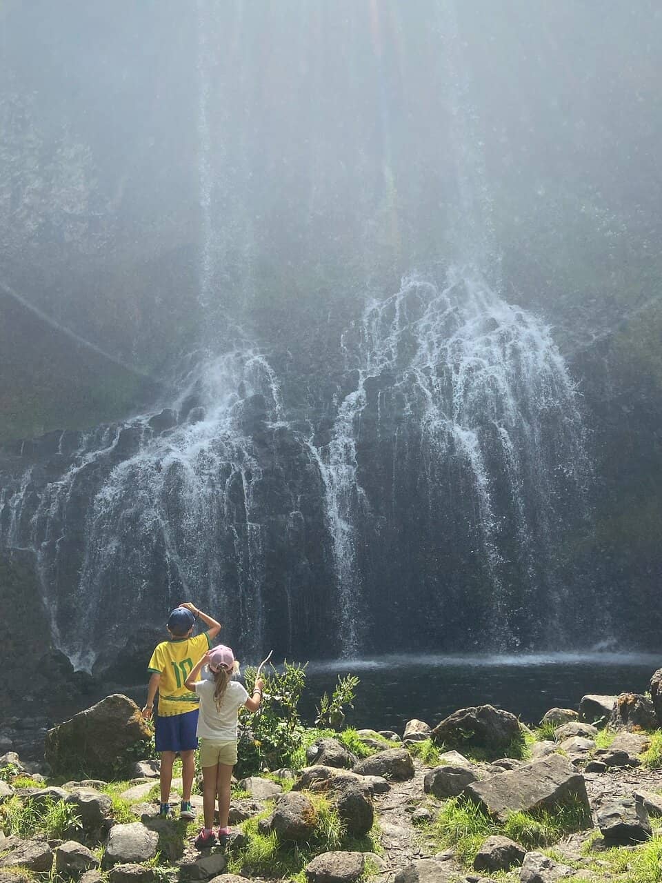 Forest Trail Ambiance