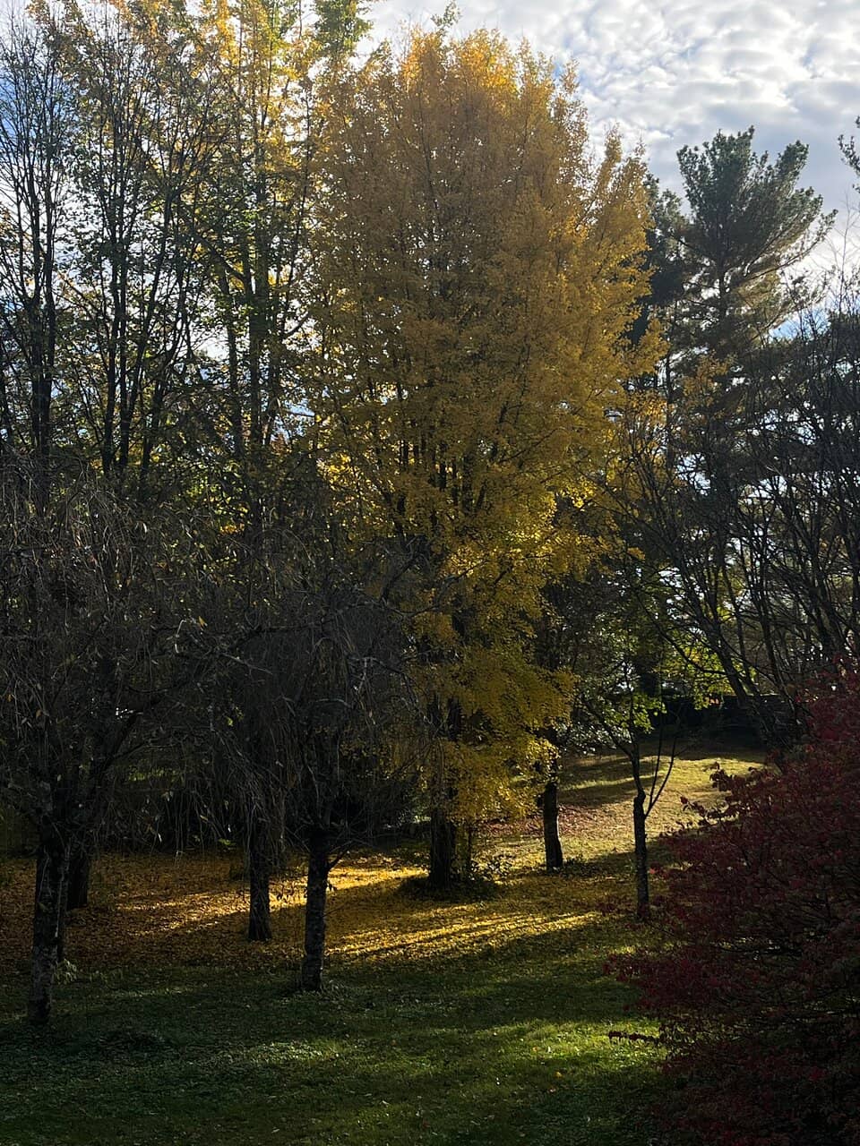 Vertical photo