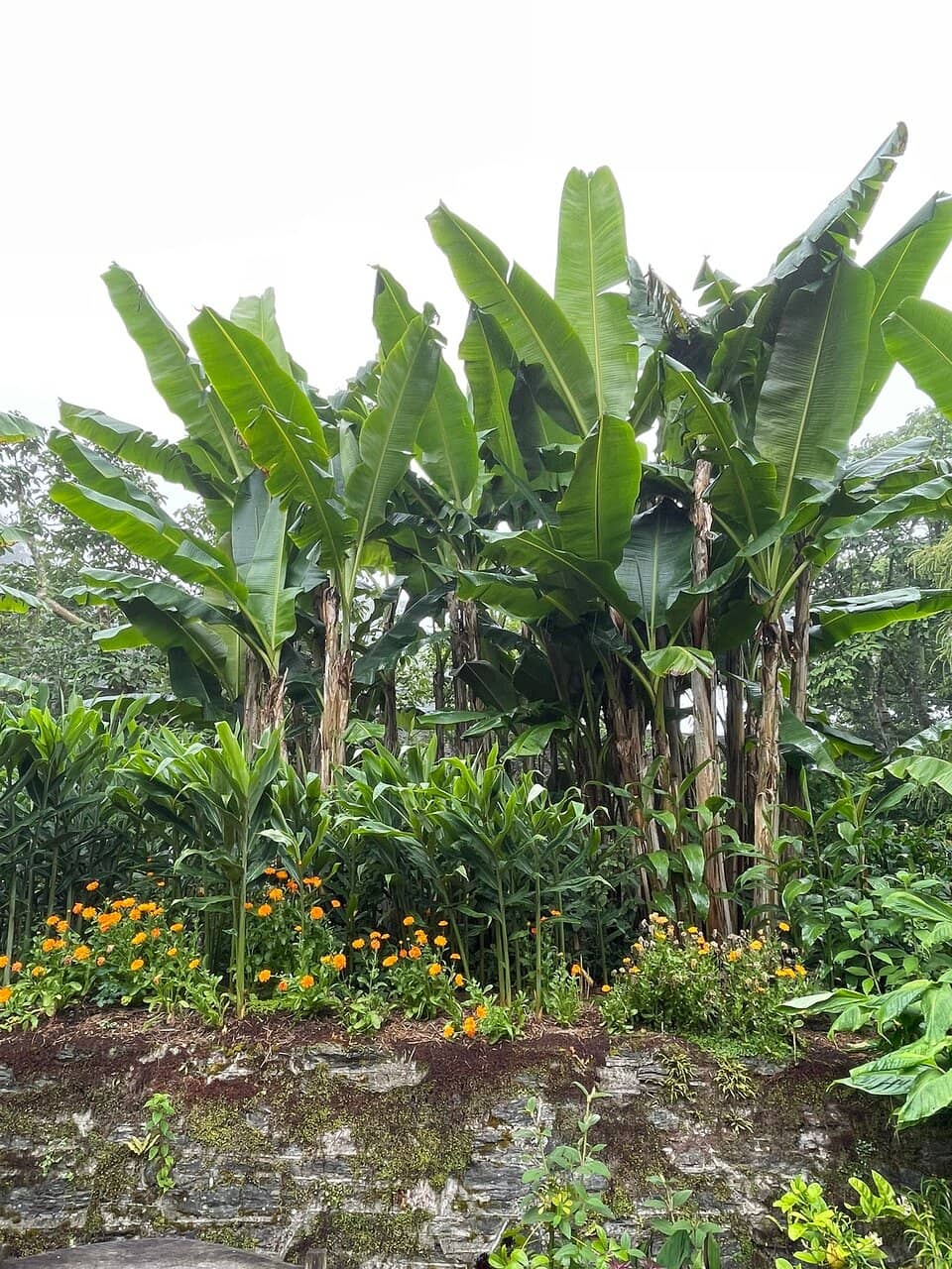 Salcombe Estuary Views