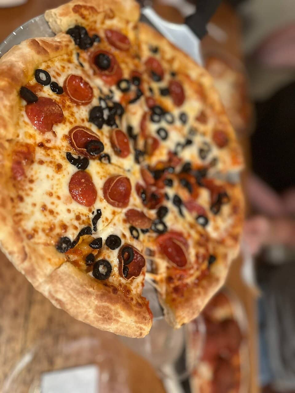 Family-Friendly Atmosphere