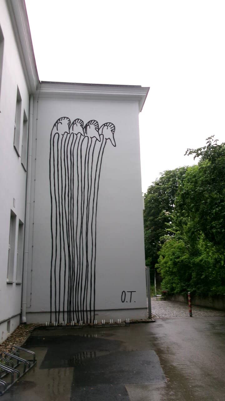 Guided Tour Experience