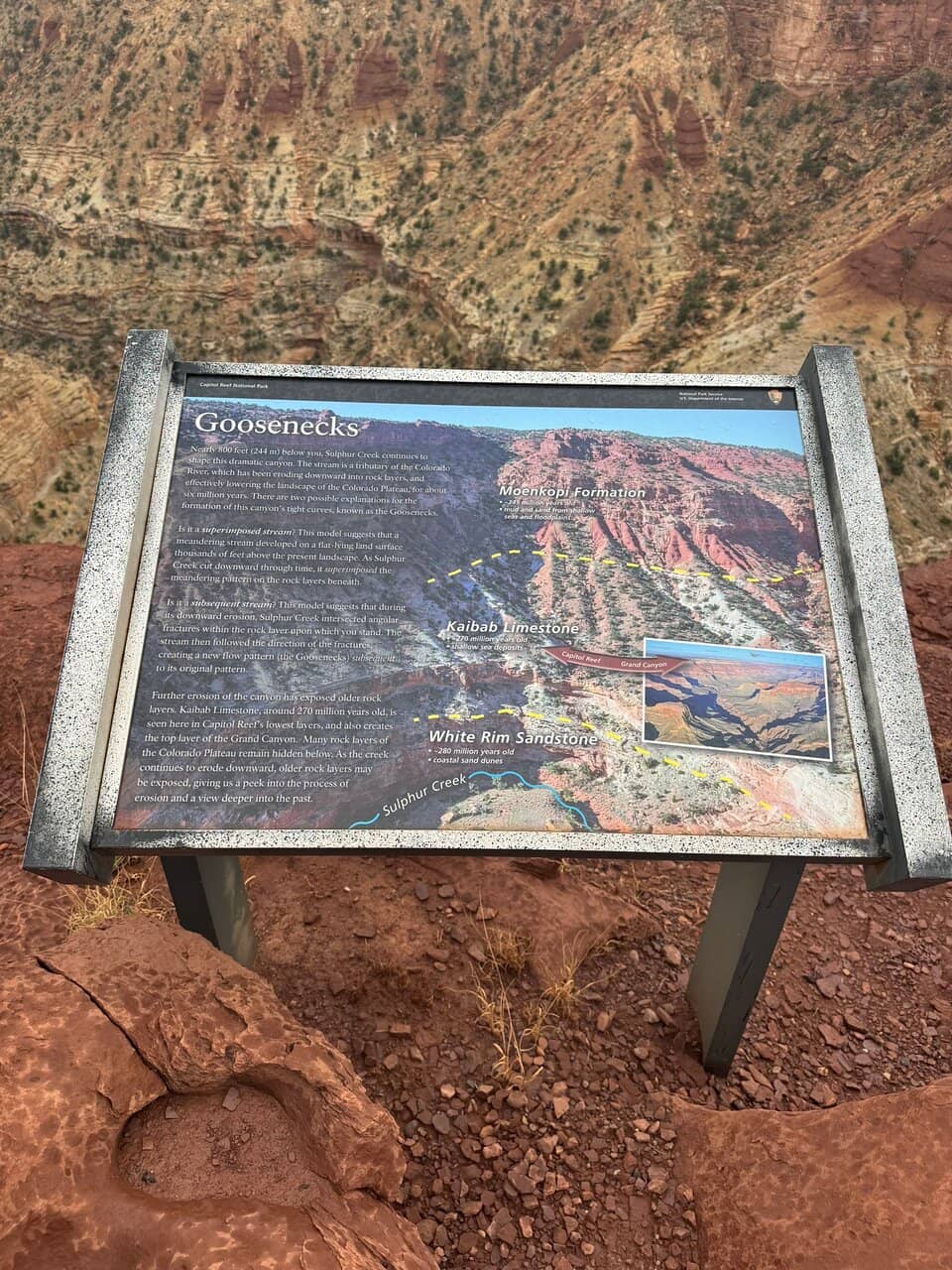 Goosenecks Overlook View