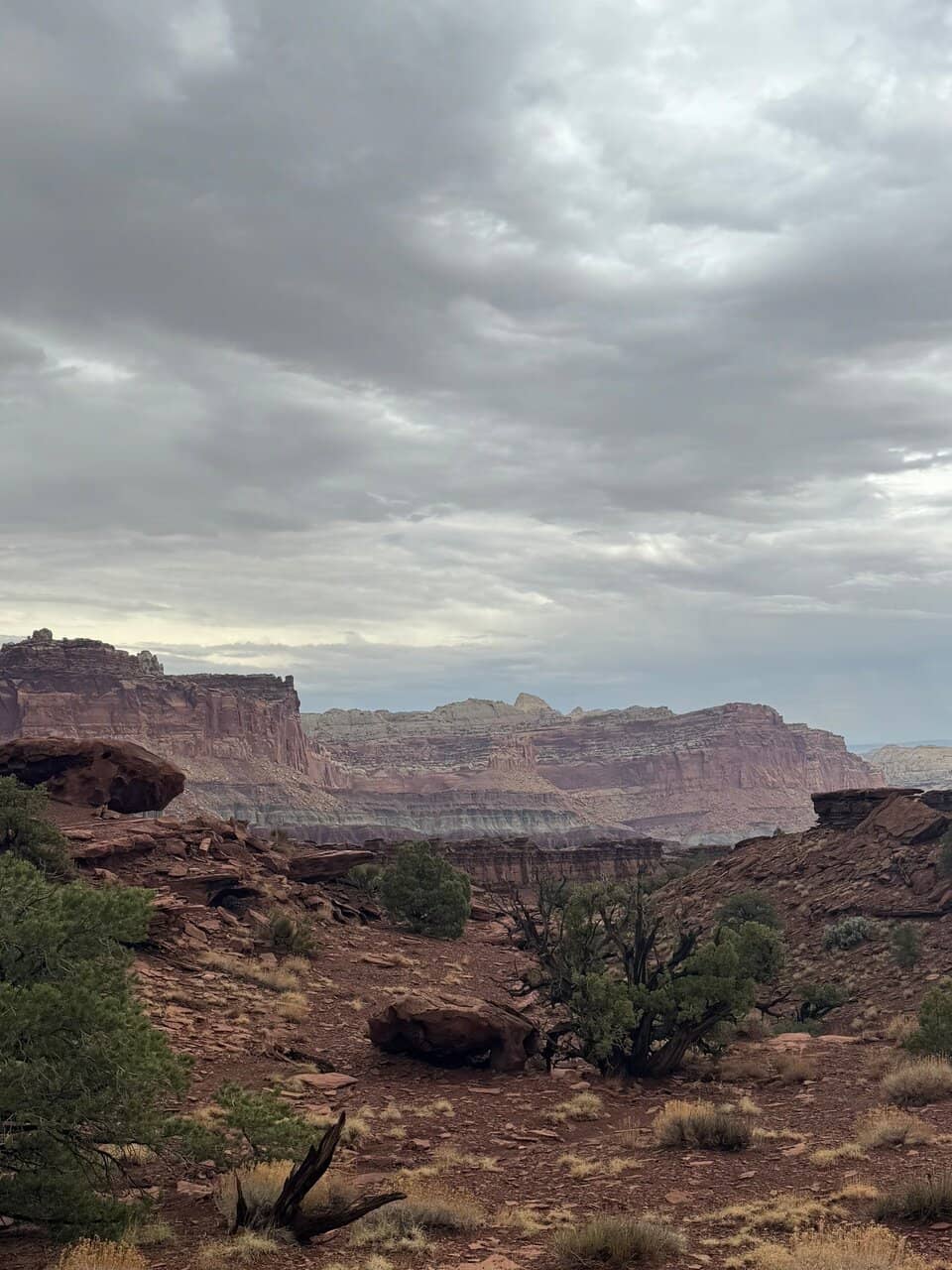 Panoramic Vistas