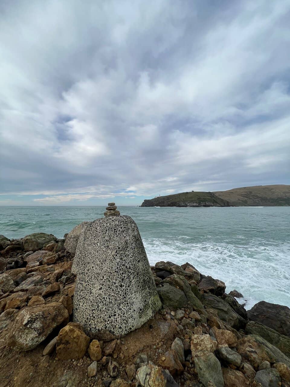 Taiaroa Head & Albatross Colony