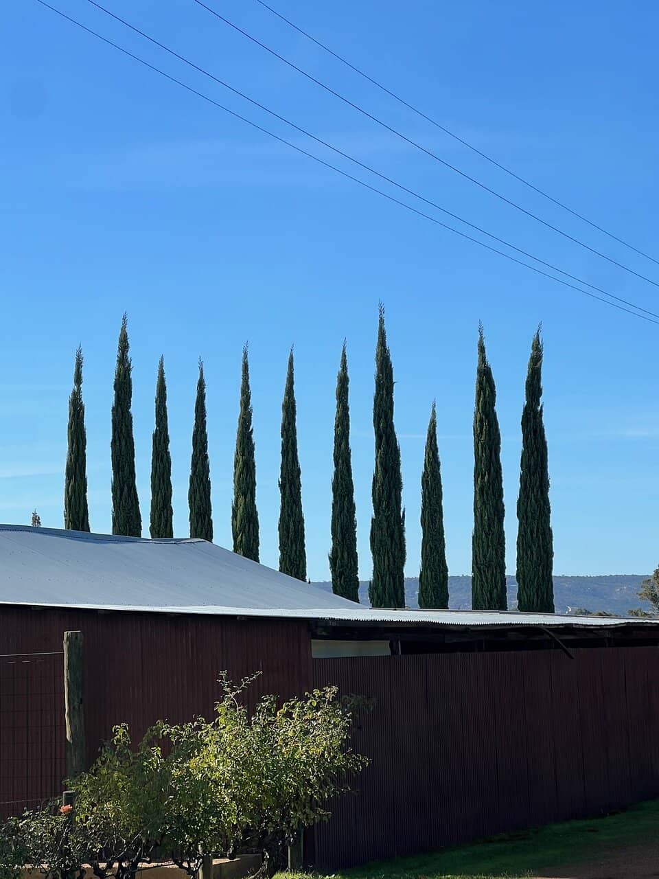 Visitor Centre Expertise