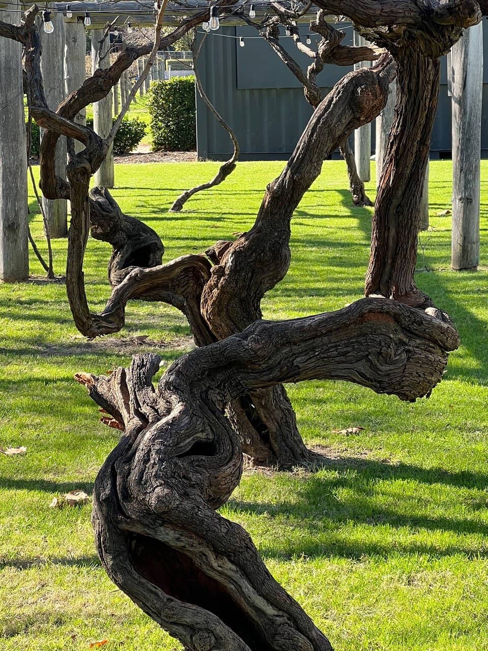 Guildford Courthouse Museum