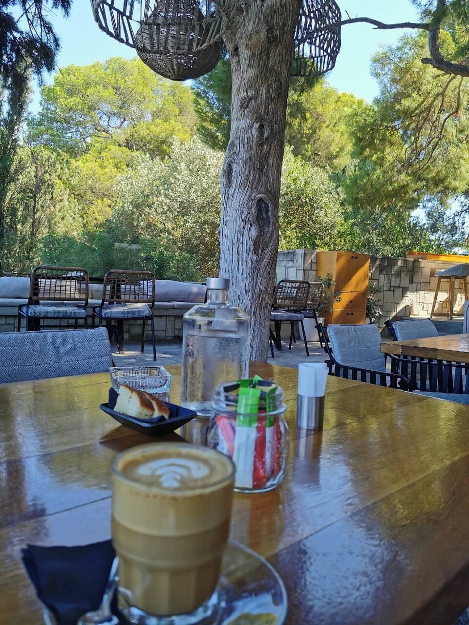 Gourmet Food & Cocktails