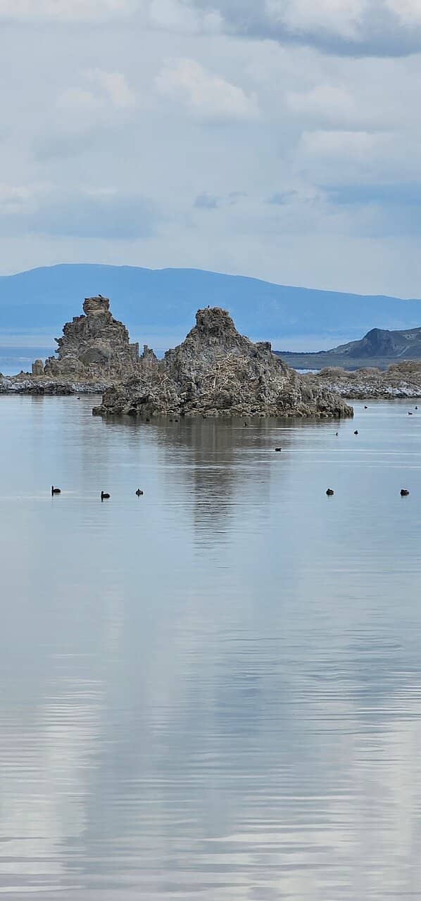 Mono Basin Scenic Visitor Center