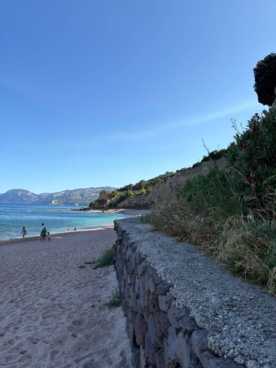 Pet-Friendly Paradise