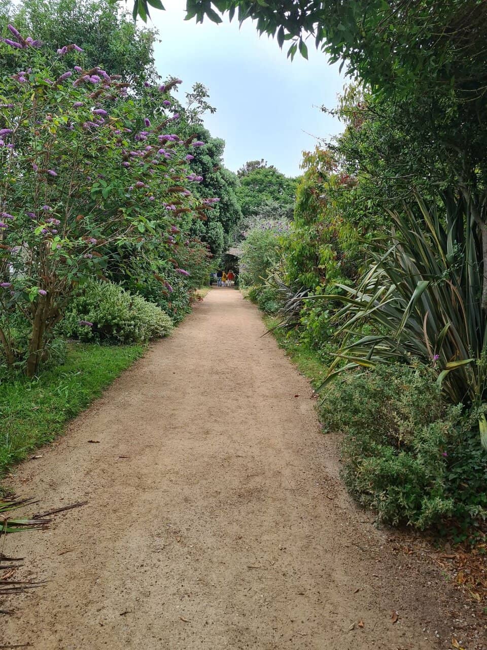 Exotic Gardens