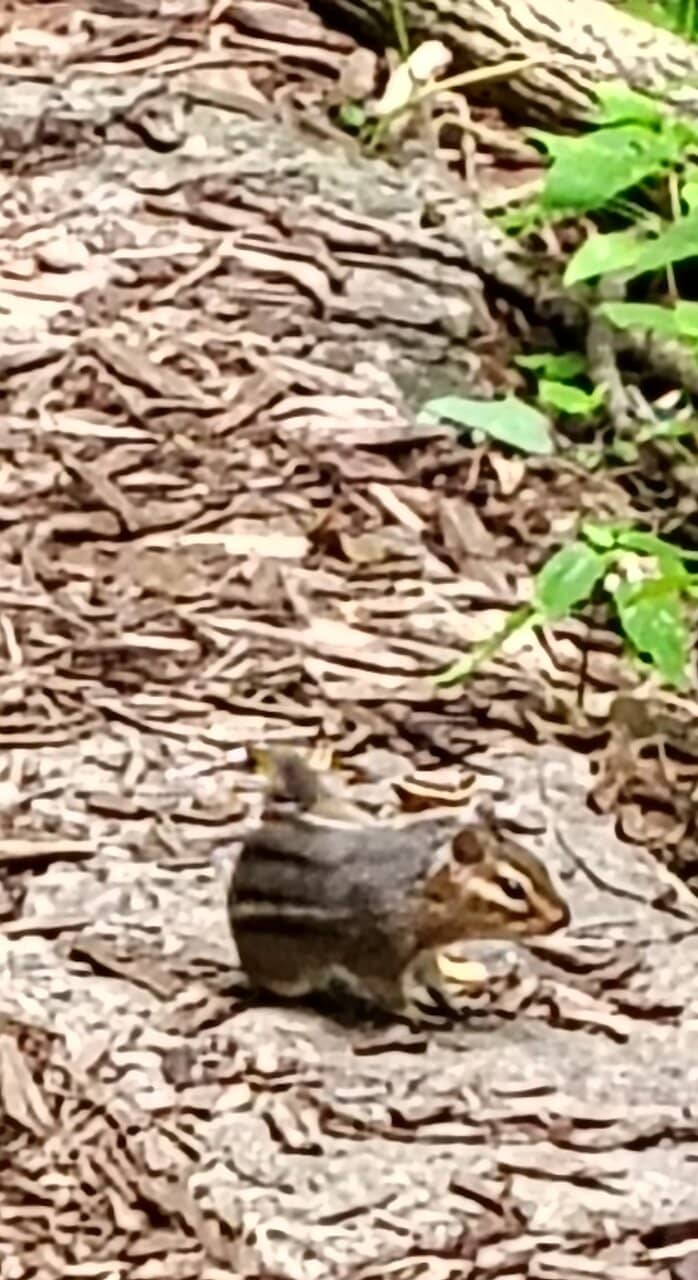 Visitor Center Exhibits